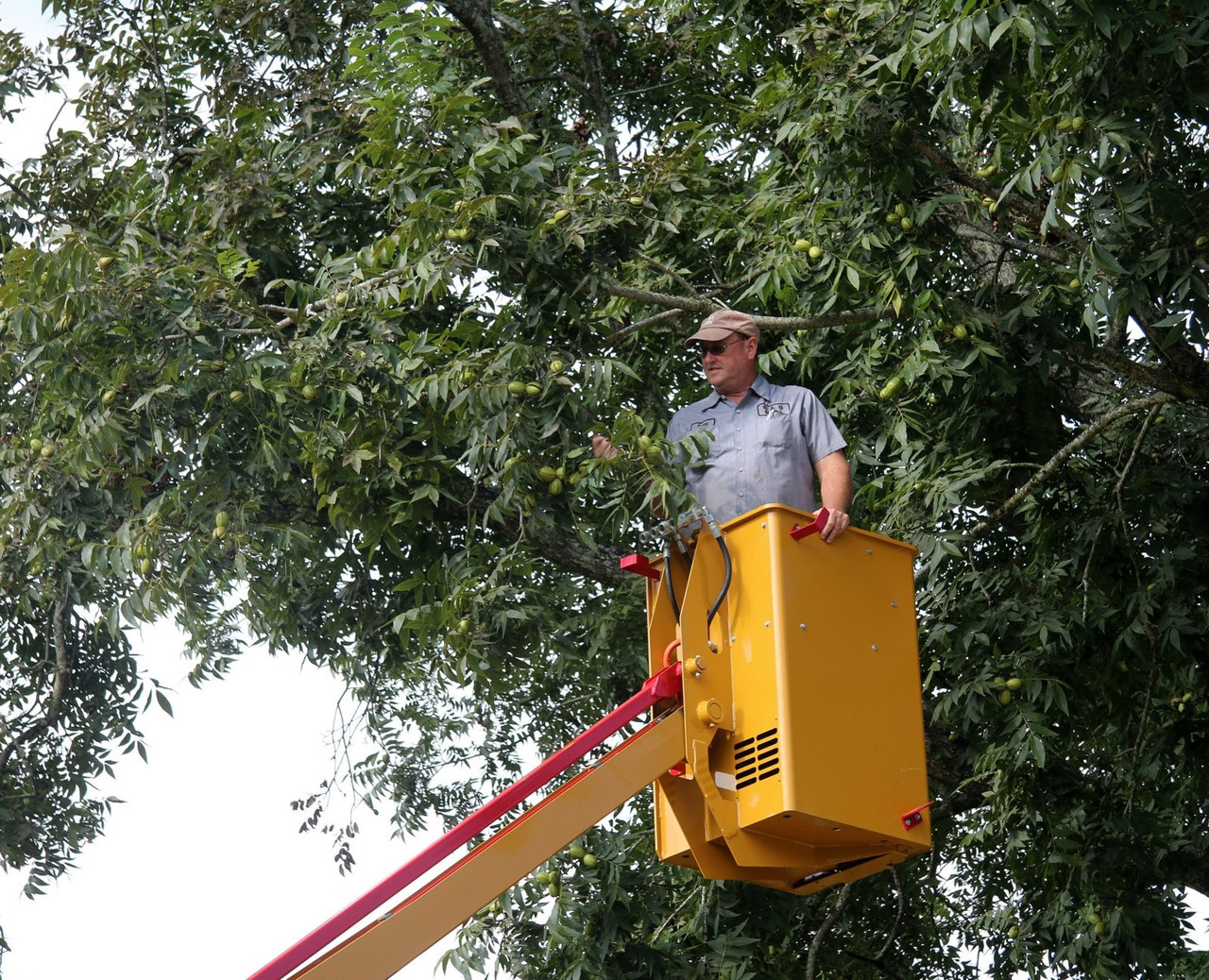 Weekly inspections